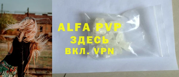 ПСИЛОЦИБИНОВЫЕ ГРИБЫ Волосово