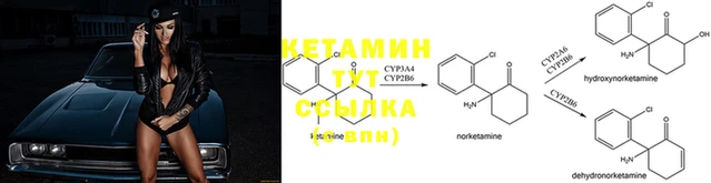 ПСИЛОЦИБИНОВЫЕ ГРИБЫ Волосово